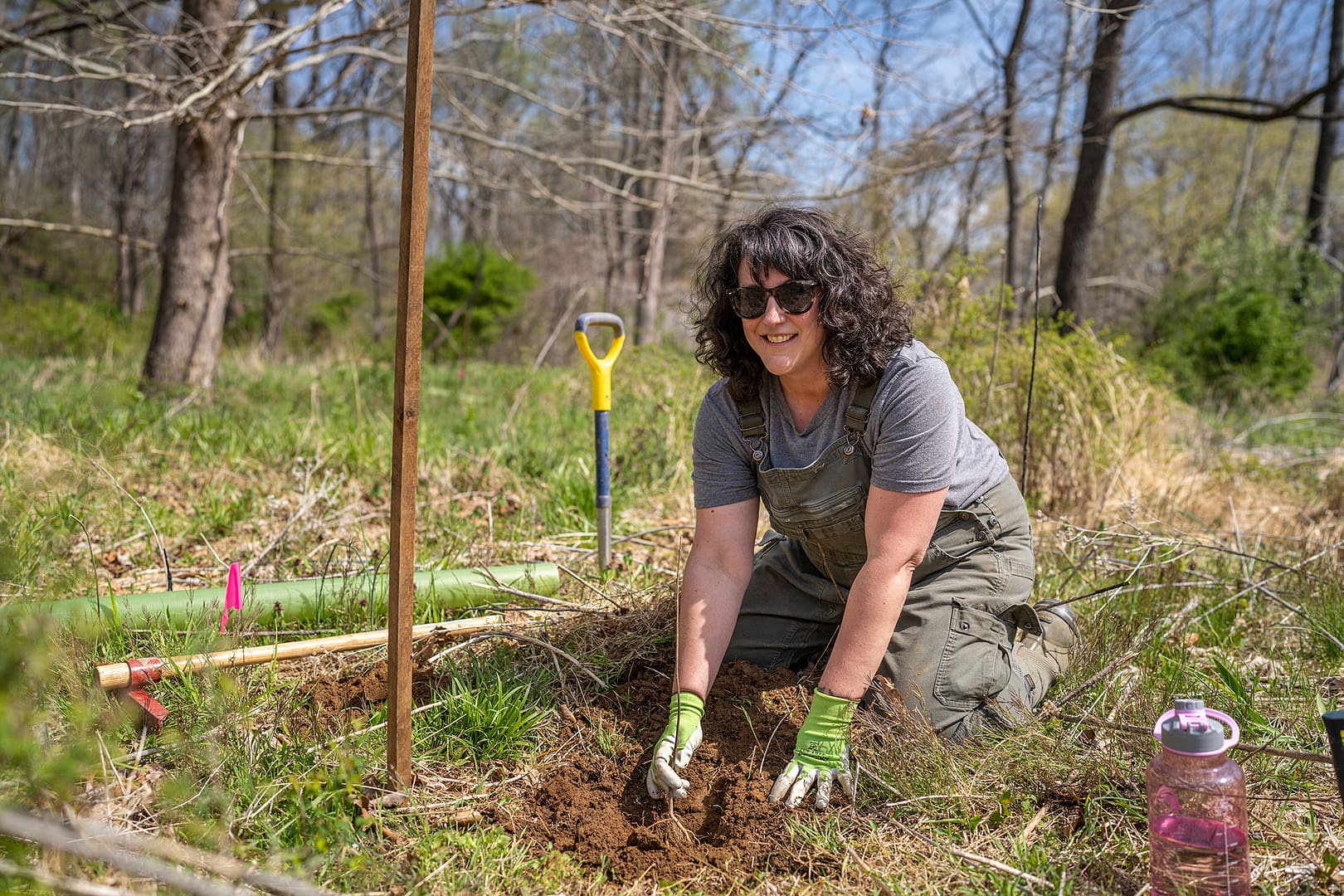Woman Plants Tree