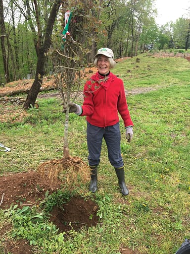 Rappahannock County Recreational Facilities Authority board member, Bonnie Beers, plants a pink dogwood. Photo by Torney Van Acker